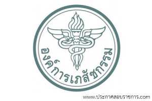 องค์การเภสัชกรรม เปิดสอบ