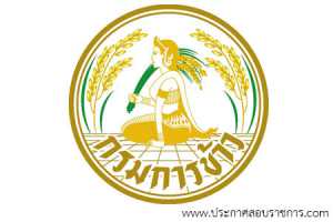 กรมการข้าว เปิดสอบ
