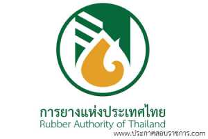 การยางแห่งประเทศไทย เปิดสอบ