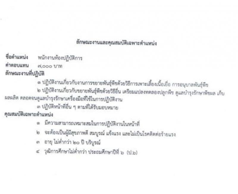 ศูนย์ขยายพันธุ์พืชืที่ 7 จังหวัดมหาสารคาม รับสมัครสอบคัดเลือกลูกจ้างเหมา (ลูกจ้างชั่วคราว) จำนวน 4 ตำแหน่ง 23 อัตรา (วุฒิ ไม่ต่ำกว่า ป.6) รับสมัครสอบตั้งแต่วันที่ 10-28 ส.ค. 2563