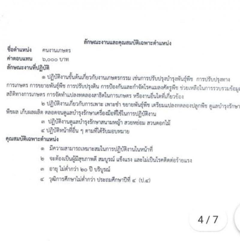 ศูนย์ขยายพันธุ์พืชืที่ 7 จังหวัดมหาสารคาม รับสมัครสอบคัดเลือกลูกจ้างเหมา (ลูกจ้างชั่วคราว) จำนวน 4 ตำแหน่ง 23 อัตรา (วุฒิ ไม่ต่ำกว่า ป.6) รับสมัครสอบตั้งแต่วันที่ 10-28 ส.ค. 2563